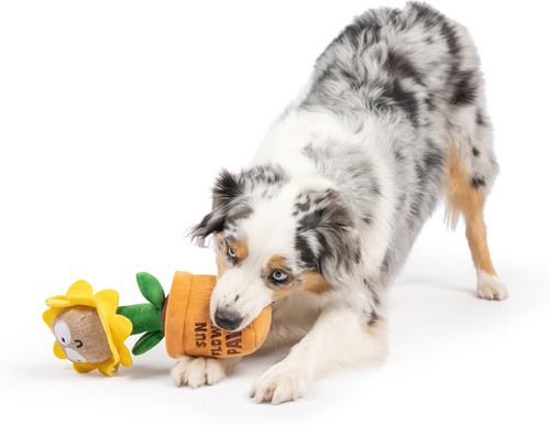 Show full view: Huxley & Kent Seek 'N Treat Sunflower Pawt Dog Plush Toy, Large slide 8 of 9