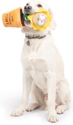 Show full view: Huxley & Kent Seek 'N Treat Sunflower Pawt Dog Plush Toy, Large slide 9 of 9