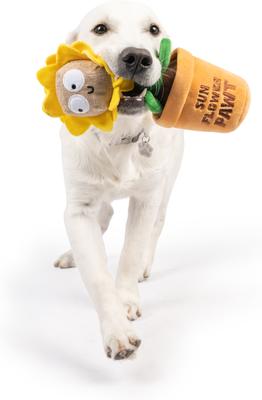 Show full view: Huxley & Kent Seek 'N Treat Sunflower Pawt Dog Plush Toy, Large slide 5 of 9