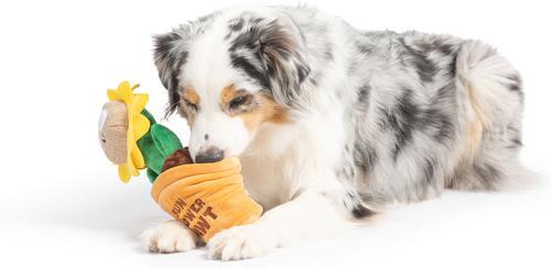 Show full view: Huxley & Kent Seek 'N Treat Sunflower Pawt Dog Plush Toy, Large slide 7 of 9