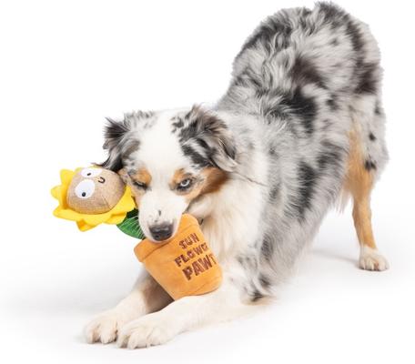 Show full view: Huxley & Kent Seek 'N Treat Sunflower Pawt Dog Plush Toy, Large slide 6 of 9