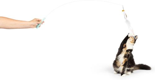 Show full view: Huxley & Kent Wire Toto's & Pom Poms Cat Teaser Toy slide 5 of 10