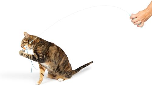 Show full view: Huxley & Kent Wire Toto's & Pom Poms Cat Teaser Toy slide 8 of 10