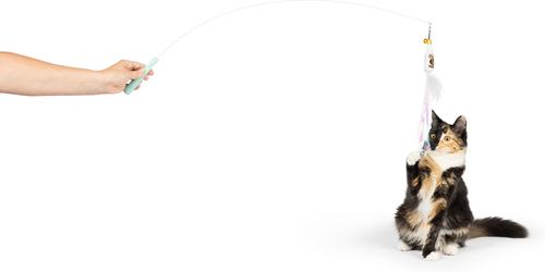 Show full view: Huxley & Kent Wire Toto's & Pom Poms Cat Teaser Toy slide 7 of 10