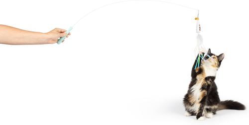 Show full view: Huxley & Kent Wire Toto's & Pom Poms Cat Teaser Toy slide 6 of 10