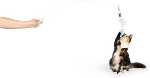 Show full view: Huxley & Kent Wire Toto's & Pom Poms Cat Teaser Toy slide 4 of 10