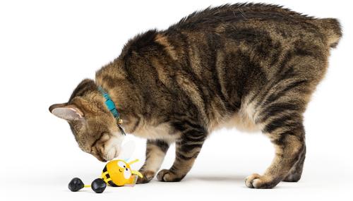 Show full view: Huxley & Kent Chirpy Bumble Bee Plush Cat Toy slide 5 of 7