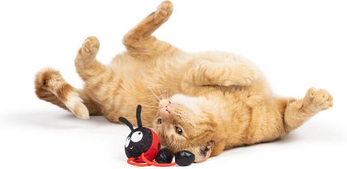 Show full view: Huxley & Kent Chirpy Ladybug Plush Cat Toy slide 4 of 6