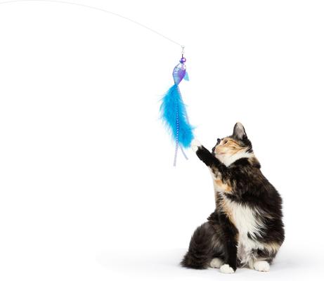 Show full view: Huxley & Kent Fishy Feather Cat Teaser Toy Refill, 2 count slide 3 of 6