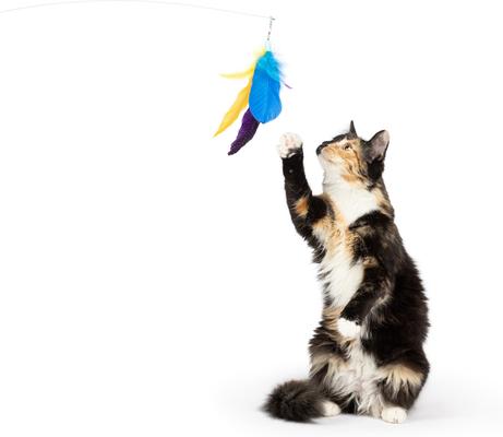 Show full view: Huxley & Kent Fishy Feather Cat Teaser Toy Refill, 2 count slide 5 of 6