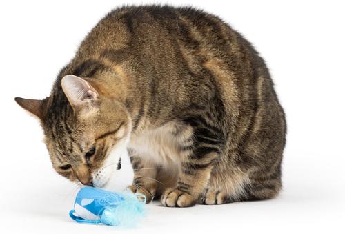 Show full view: Huxley & Kent Chirpy Bluebird Plush Cat Toy slide 4 of 9