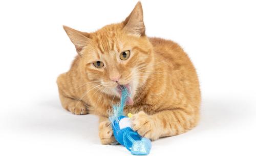 Show full view: Huxley & Kent Chirpy Bluebird Plush Cat Toy slide 7 of 9