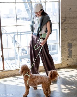 Show full view: Sunny Tails Waste Dog Poop Bag Dispenser, Pistachio Daisies slide 5 of 8