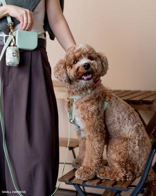 Show full view: Sunny Tails Waste Dog Poop Bag Dispenser, Pistachio Daisies slide 2 of 8