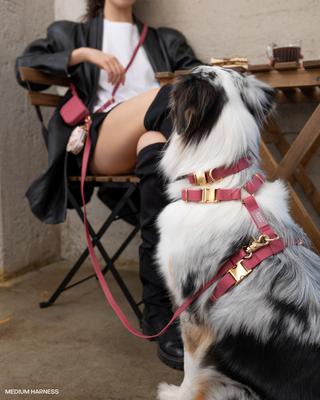 Show full view: Sunny Tails Waste Dog Poop Bag Dispenser, Strawberries slide 4 of 7