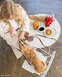 Sunny Tails Waste Dog Poop Bag Dispenser, Espresso Brown slide 2 of 4