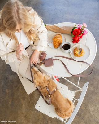 Show full view: Sunny Tails Waste Dog Poop Bag Dispenser, Espresso Brown slide 4 of 5