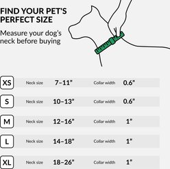 CollarDirect AirTag Holder QR Tag Nylon Standard Dog Collar, Orange, Small: 10 to 13-in neck, 0.79-in wide slide 2 of 6