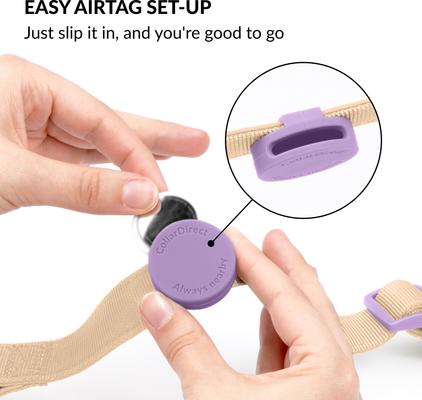 Show full view: CollarDirect AirTag Holder QR Tag Nylon Standard Dog Collar, Violet, Medium: 12 to 16-in neck, 1-in wide slide 2 of 6