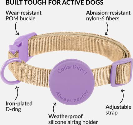 Show full view: CollarDirect AirTag Holder QR Tag Nylon Standard Dog Collar, Violet, Medium: 12 to 16-in neck, 1-in wide slide 3 of 6