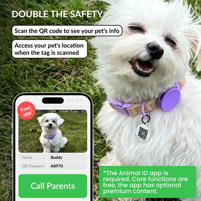 Show full view: CollarDirect AirTag Holder QR Tag Nylon Standard Dog Collar, Violet, Medium: 12 to 16-in neck, 1-in wide slide 4 of 6