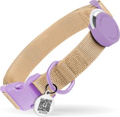 CollarDirect AirTag Holder QR Tag Nylon Standard Dog Collar, Violet, Large: 14 to 18-in neck, 1-in wide slide 1 of 6