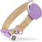 Show in main carousel: CollarDirect AirTag Holder QR Tag Nylon Standard Dog Collar, Violet, Medium: 12 to 16-in neck, 1-in wide slide 1 of 6