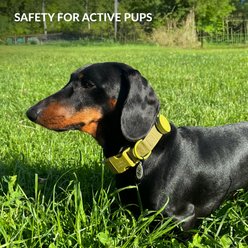 CollarDirect AirTag Holder QR Tag Nylon Standard Dog Collar, Pink, X-Large: 18 to 26-in neck, 1-in wide slide 2 of 6