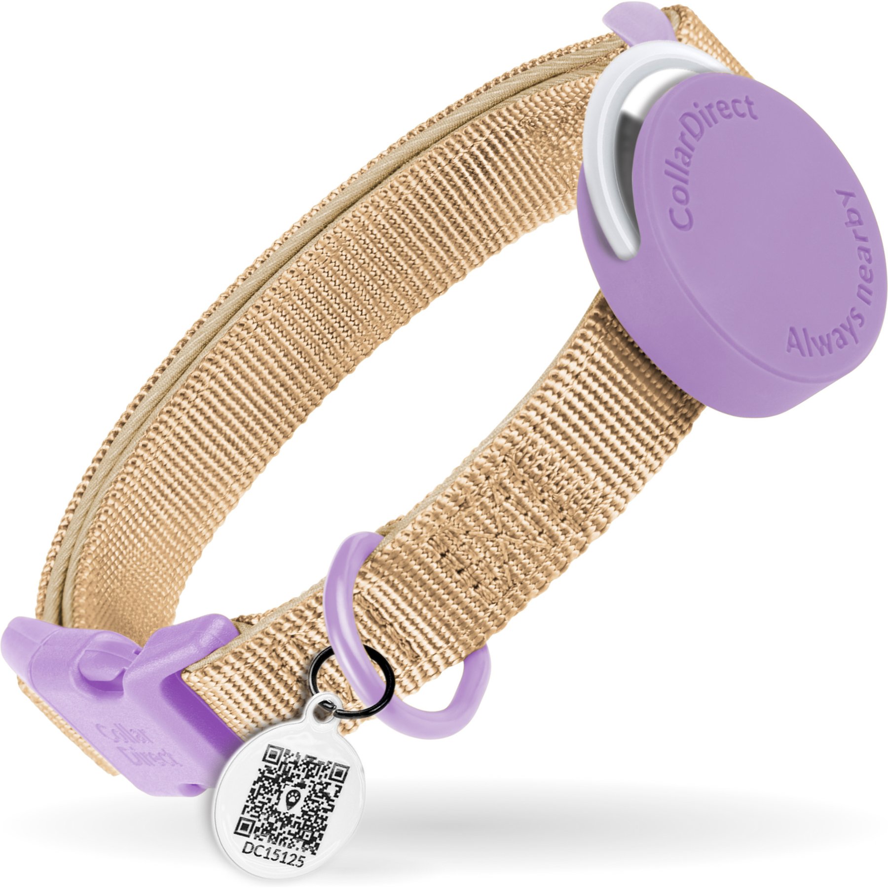 CollarDirect AirTag Holder QR Tag Nylon Standard Dog Collar, Violet, X-Small: 7 to 11-in neck, 0.79-in wide