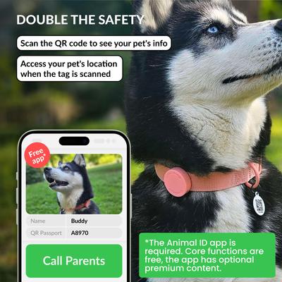 Show full view: CollarDirect AirTag Holder QR Tag Nylon Standard Dog Collar, Pink, X-Large: 18 to 26-in neck, 1-in wide slide 4 of 6