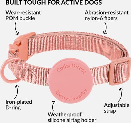 Show full view: CollarDirect AirTag Holder QR Tag Nylon Standard Dog Collar, Pink, X-Large: 18 to 26-in neck, 1-in wide slide 3 of 6