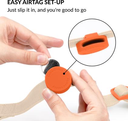 Show full view: CollarDirect AirTag Holder QR Tag Nylon Standard Dog Collar, Orange, X-Small: 7 to 11-in neck, 0.79-in wide slide 2 of 6