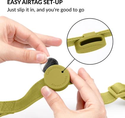 Show full view: CollarDirect AirTag Holder QR Tag Nylon Standard Dog Collar, Green, Medium: 12 to 16-in neck, 1-in wide slide 3 of 7