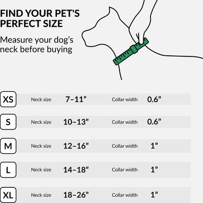 Show full view: CollarDirect AirTag Holder QR Tag Nylon Standard Dog Collar, Green, Medium: 12 to 16-in neck, 1-in wide slide 6 of 7