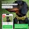 Show in main carousel: CollarDirect AirTag Holder QR Tag Nylon Standard Dog Collar, Green, Medium: 12 to 16-in neck, 1-in wide slide 5 of 7