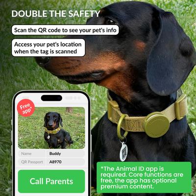 Show full view: CollarDirect AirTag Holder QR Tag Nylon Standard Dog Collar, Green, Medium: 12 to 16-in neck, 1-in wide slide 5 of 7