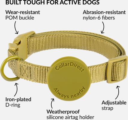 Show full view: CollarDirect AirTag Holder QR Tag Nylon Standard Dog Collar, Green, Medium: 12 to 16-in neck, 1-in wide slide 4 of 7