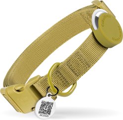 CollarDirect AirTag Holder QR Tag Nylon Standard Dog Collar, Green, Large: 14 to 18-in neck, 1-in wide