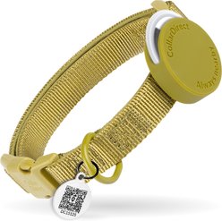 CollarDirect AirTag Holder QR Tag Nylon Standard Dog Collar, Green, Small: 10 to 13-in neck, 0.79-in wide