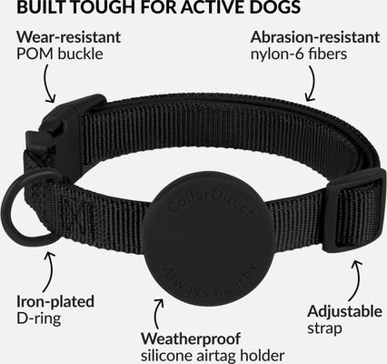 Show full view: CollarDirect AirTag Holder QR Tag Nylon Standard Dog Collar, Black, Small: 10 to 13-in neck, 0.79-in wide slide 3 of 6