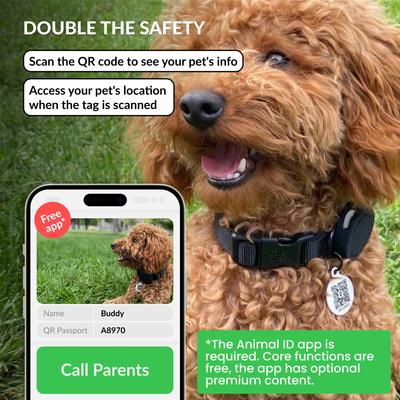 Show full view: CollarDirect AirTag Holder QR Tag Nylon Standard Dog Collar, Black, Small: 10 to 13-in neck, 0.79-in wide slide 4 of 6