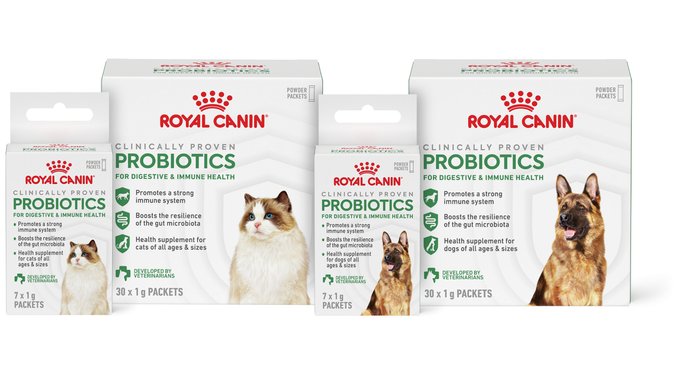 Royal Canin Probiotics Digestive & Immune Health Powder Supplement for Dogs