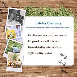 Lafeber Hey!Berries Apple & Banana Guinea Pig Treats, 5-oz bag slide 2 of 8