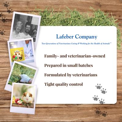 Show full view: Lafeber Hey!Berries Apple & Banana Guinea Pig Treats, 5-oz bag slide 8 of 10