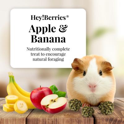 Show full view: Lafeber Hey!Berries Apple & Banana Guinea Pig Treats, 5-oz bag slide 3 of 10