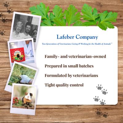 Show full view: Lafeber Hey!Berries Bell Pepper & Cilantro Guinea Pig Treats, 5-oz bag slide 8 of 10