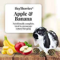 Lafeber Hey!Berries Apple & Banana Flavored Rabbit Treats, 5-oz bag slide 2 of 8