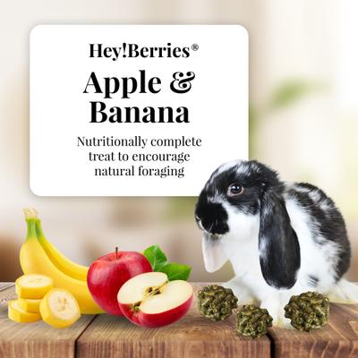 Show full view: Lafeber Hey!Berries Apple & Banana Flavored Rabbit Treats, 5-oz bag slide 3 of 10
