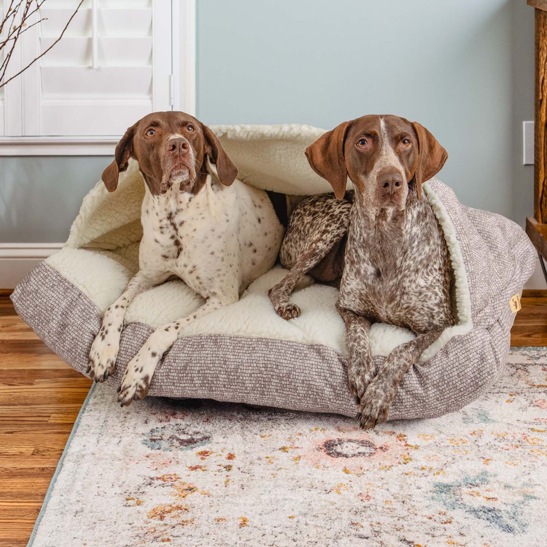 Snoozer Pet Products Premium Microsuede Cozy Cave Rectangle Dog Bed, Merlin Linen, Small