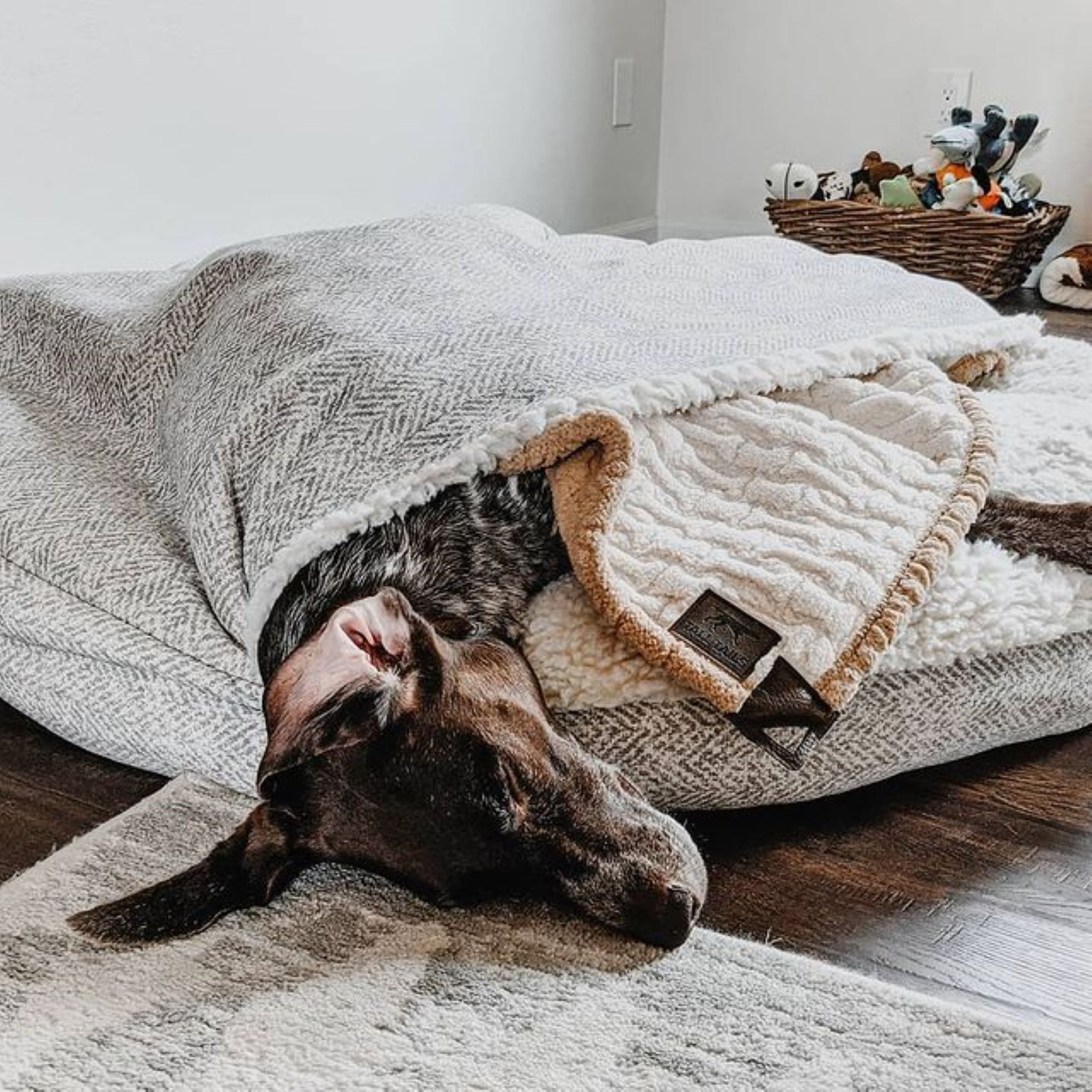Snoozer Pet Products Premium Microsuede Cozy Cave Rectangle Dog Bed, Palmer Dove, X-Large